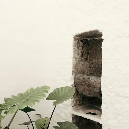 Casa Mercade