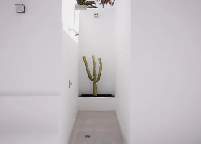 Casa Mercade