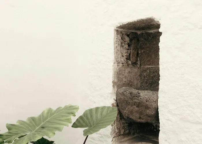 Casa Mercade