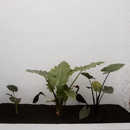 Casa Mercade דירה